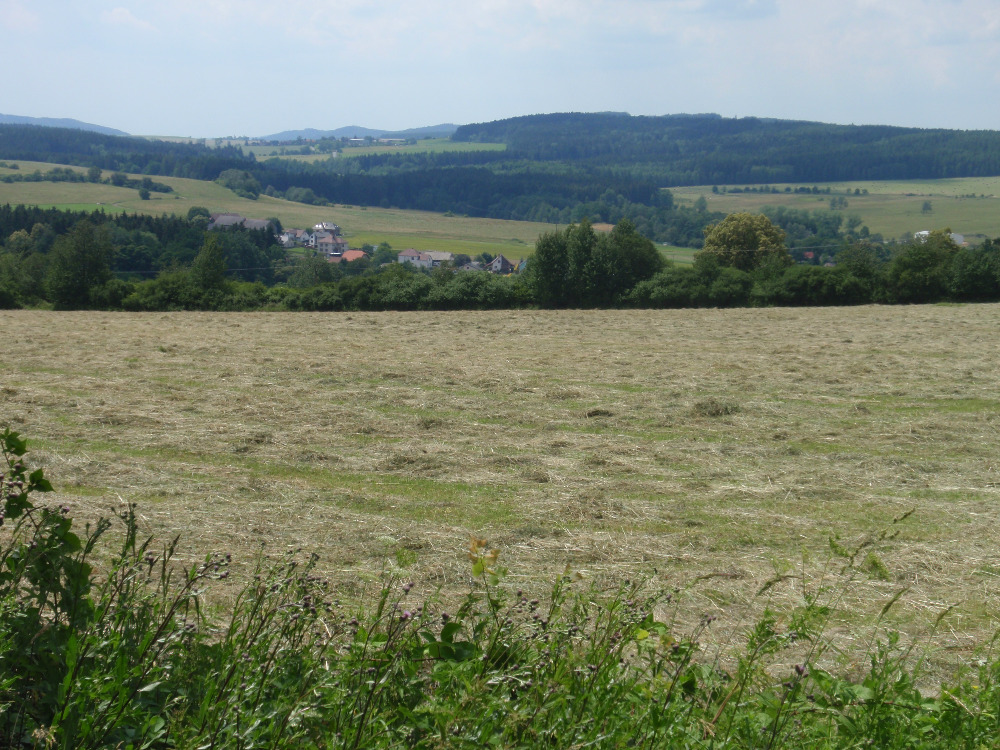 Kvaňské louky 21. 6. 2108